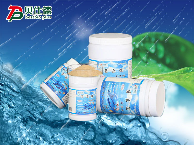 菌乐健——贝仕德+1号